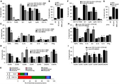 Immunoregulatory Effects of Myeloid-Derived Suppressor Cell Exosomes in Mouse Model of Autoimmune Alopecia Areata
